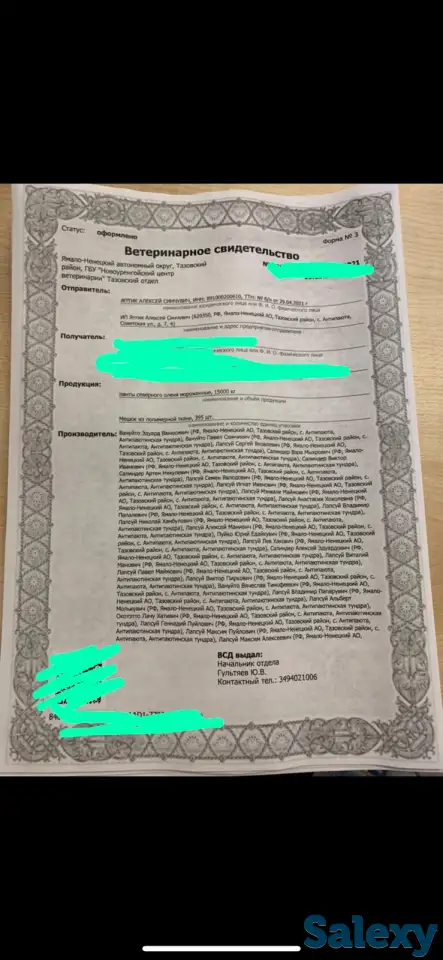 Продам панты (рога ) северных оленей, фотография 2