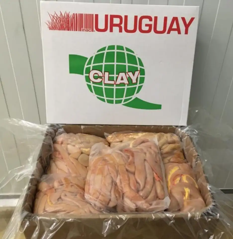 Конские Кишки, фотография 1