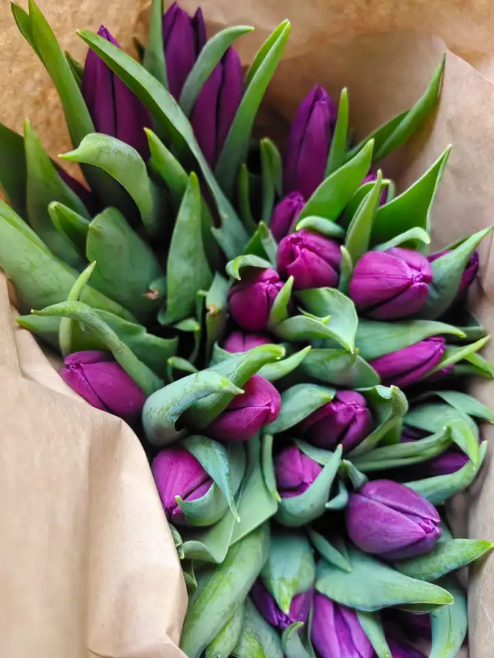 Тюльпаны премиум класса оптом к 8 марта, фотография 8