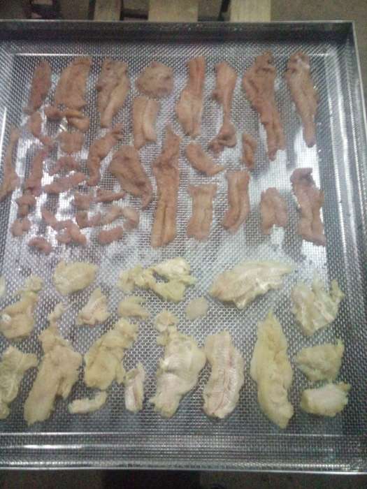 Сушильный шкаф камера С-3Км (на 220в) для мяса, овощей и пр., фотография 10