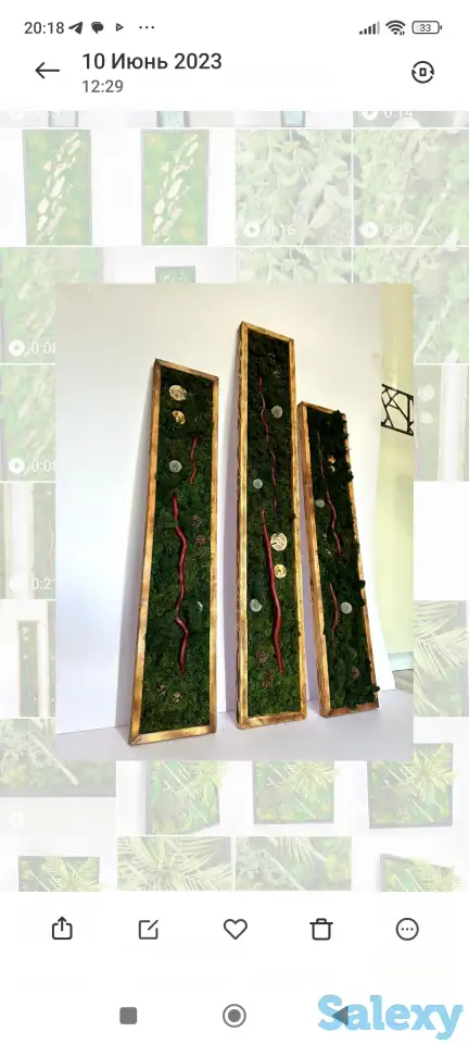 Картина из стабилизированного мха, фотография 2