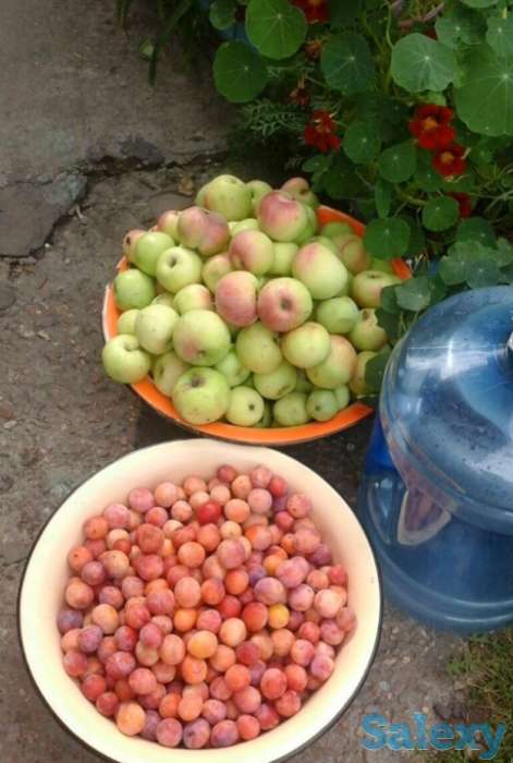 Срочно продам уютный дом, фотография 10