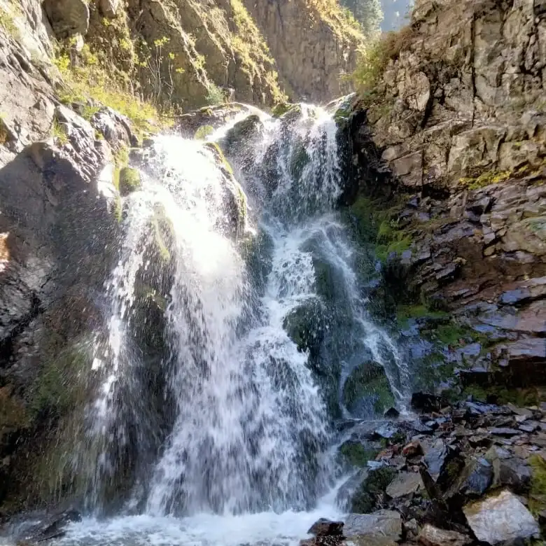 Организуем трансфер в любое направление, фотография 3
