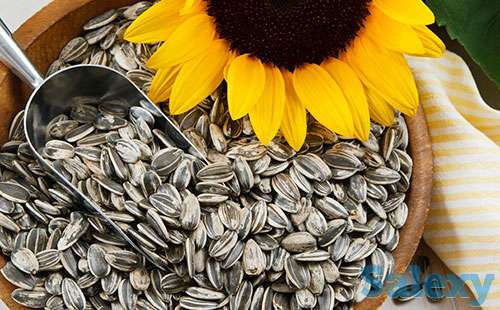 Семечки оптом, фотография 1