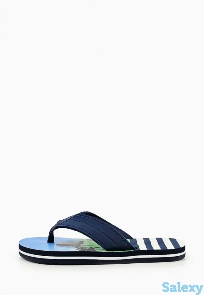 Сланцы t.taccardi, фотография 1