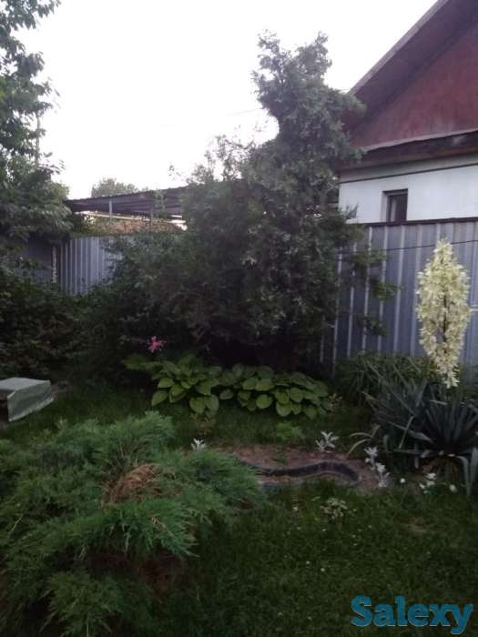 Продам дом, фотография 10