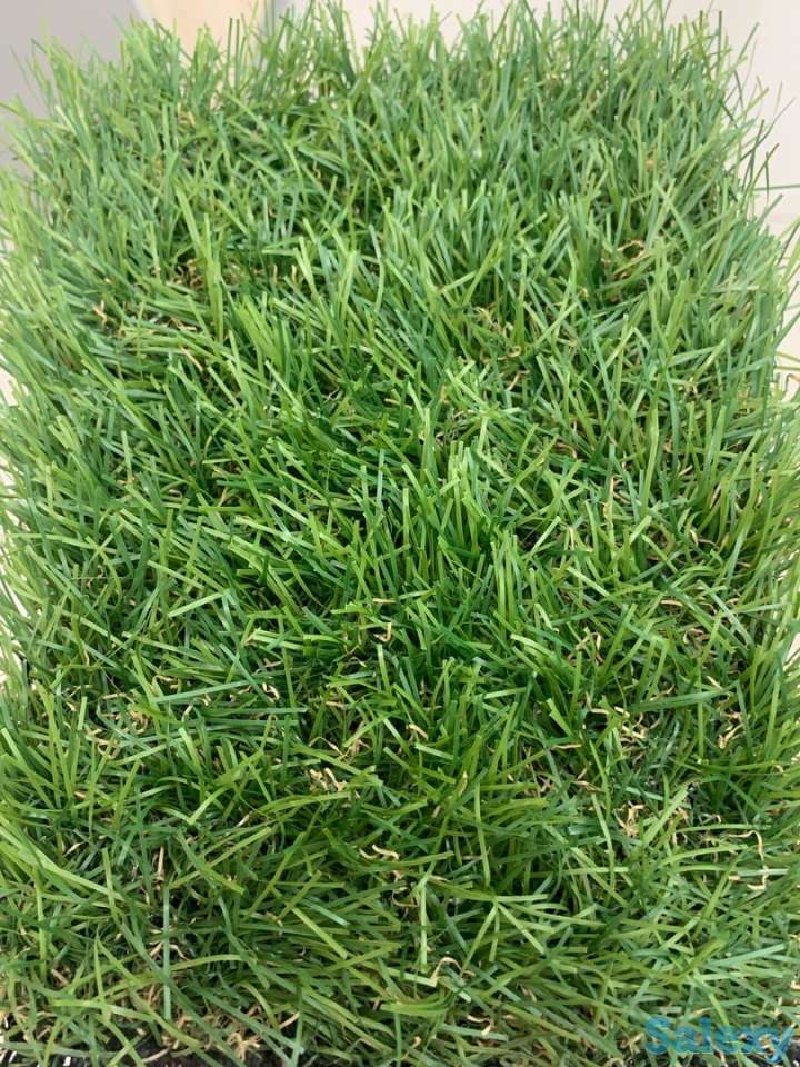 Искусственный газон, фотография 1