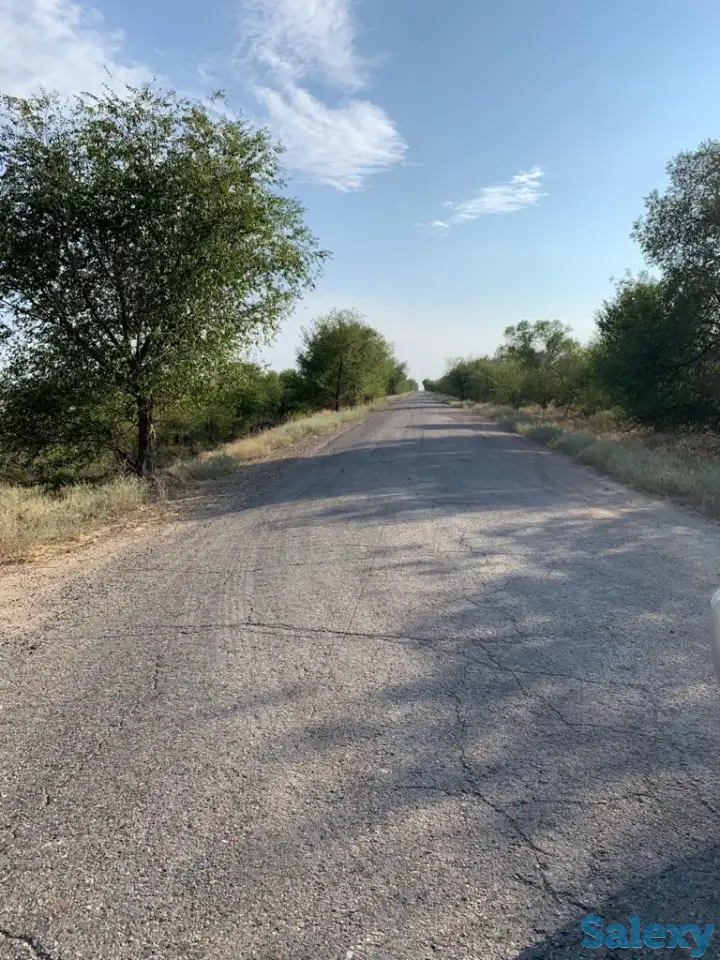 Продажа земельного участка, Алматинская область Илийский район, фотография 5