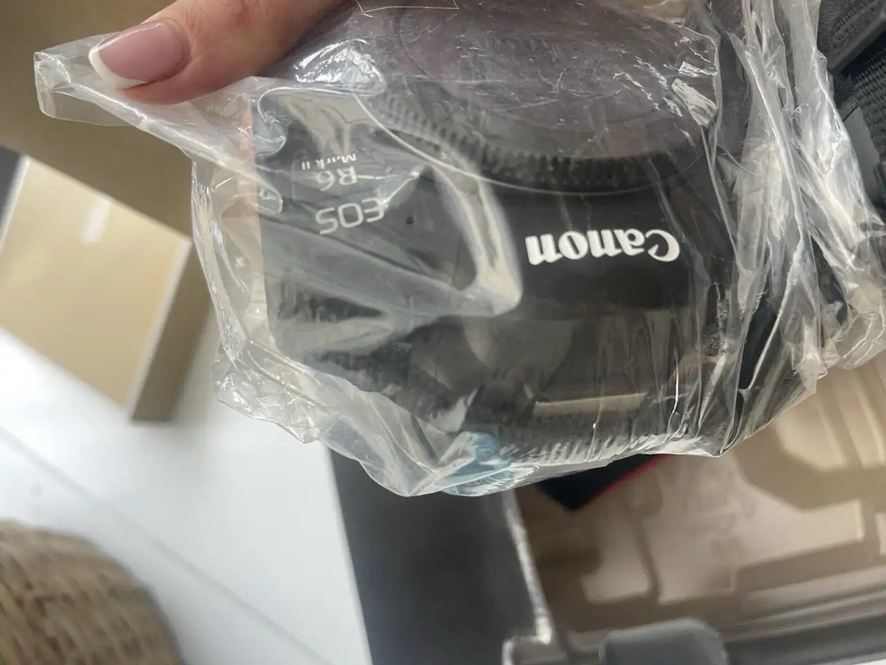 Беззеркальная камера Canon EOS R6 Mark II, фотография 7