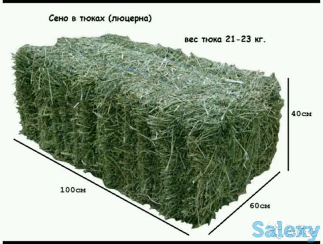 Продам люцерну в тюках, фотография 1