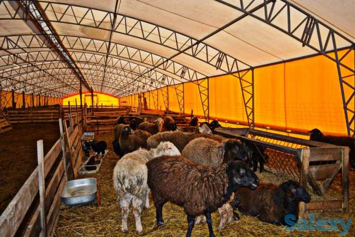 Теплицы на любой вкус, фотография 10