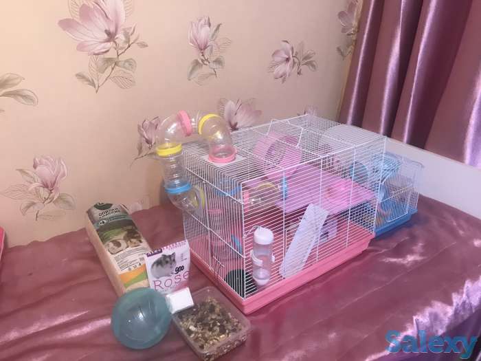Продам клетка для хомяков 2 -этажный +подарок, фотография 8