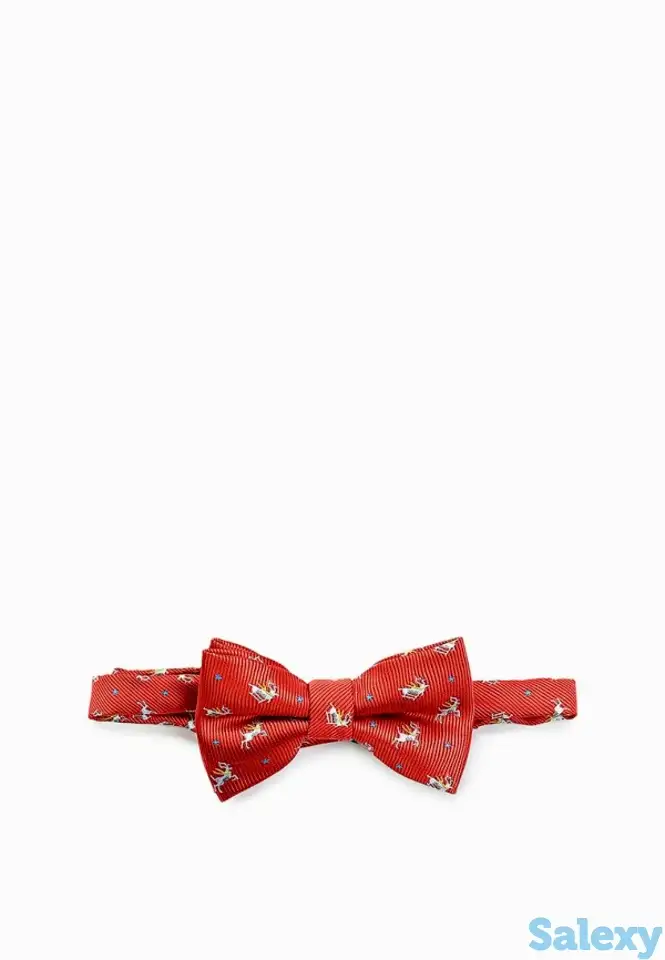 Бабочка acoola, фотография 1