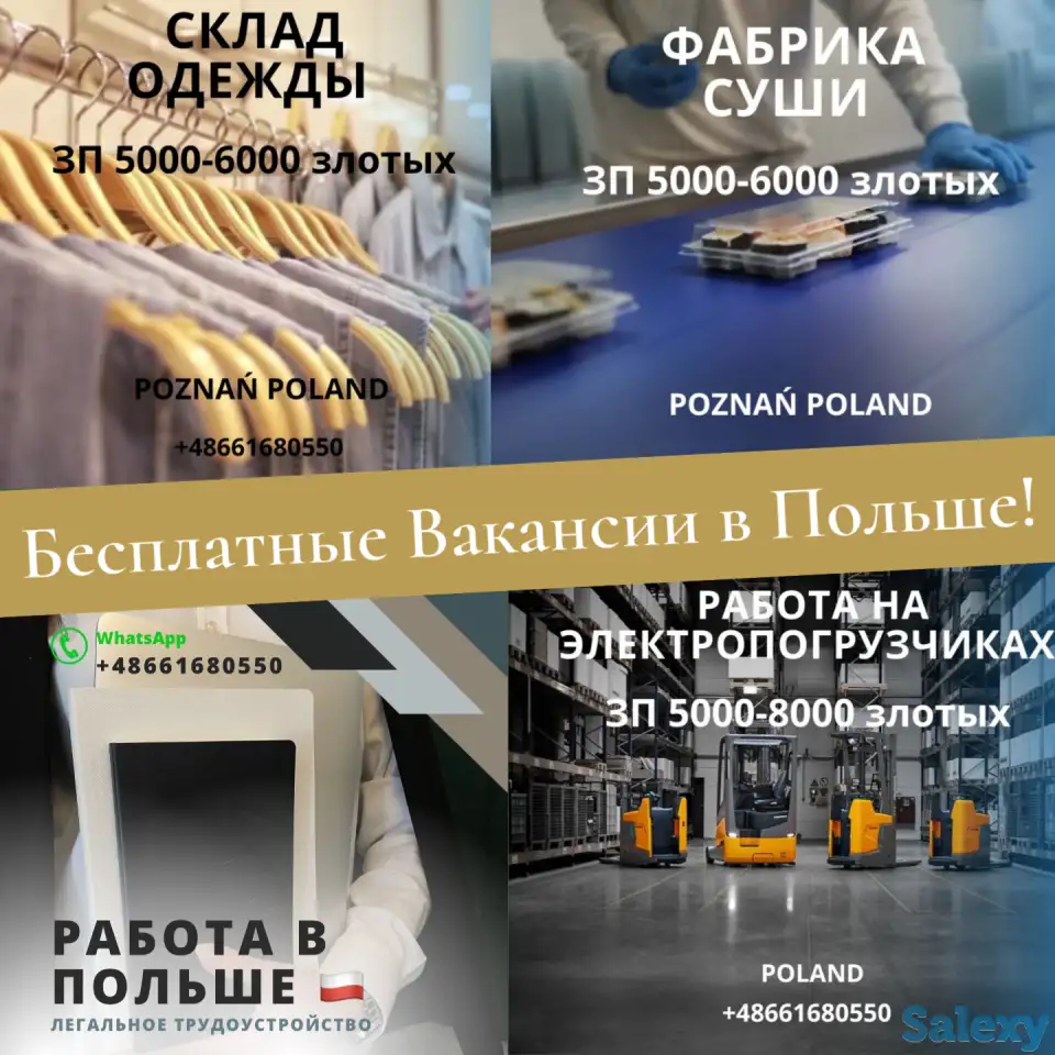 Бесплатные Вакансии в Польше!, фотография 1
