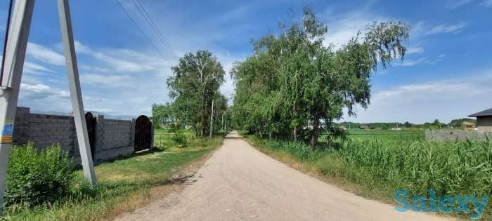 Cрочно продам участки в поселке Алмалыбак, фотография 2