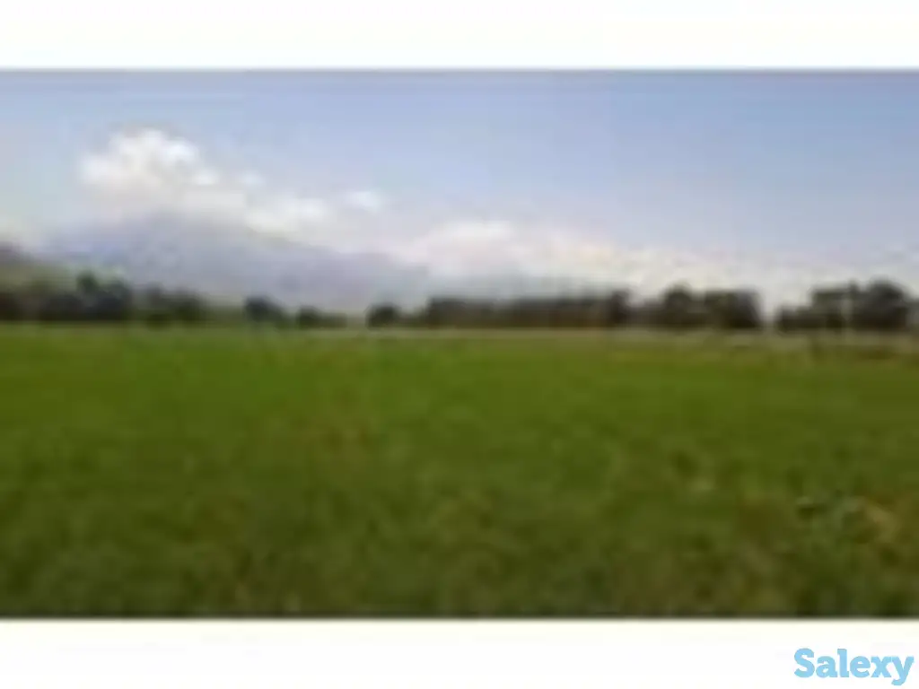 Участок 50 соток в Талгаре, район Инкубатор, фотография 1