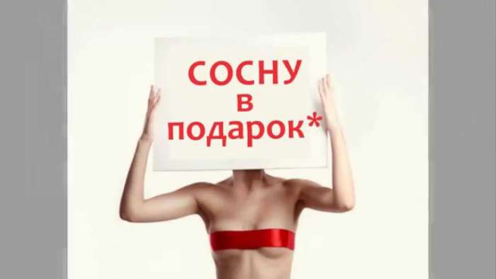 Ель в подарок.при ремонте квартир, фотография 1