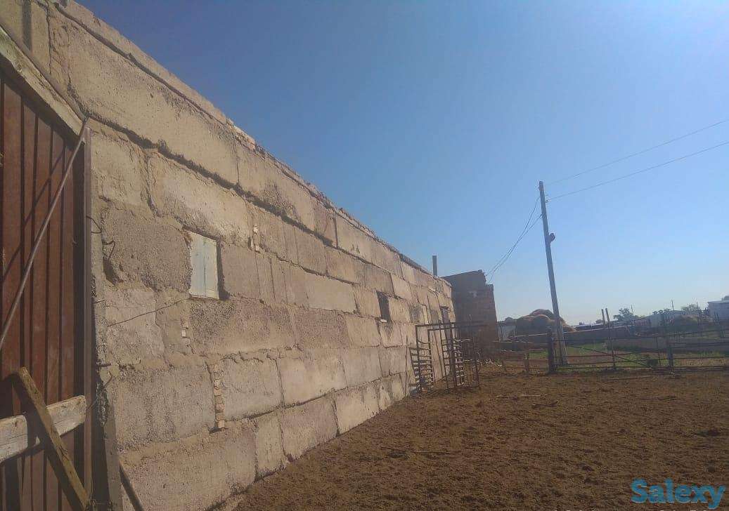 Крестьянское хозяйство, Карагандинская область, Осакаровский район, сАманконыр (с Дальнее), фотография 9