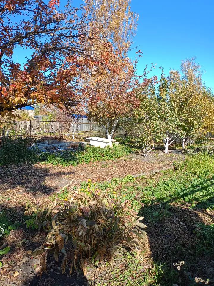 Дача в ст Борки, 6,7соток, фотография 4