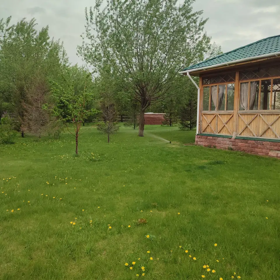 полив газона в астане, фотография 9