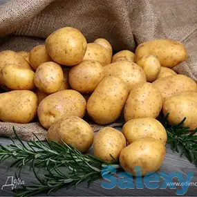 Сульфат Калия в наличии и под заказ, фотография 2