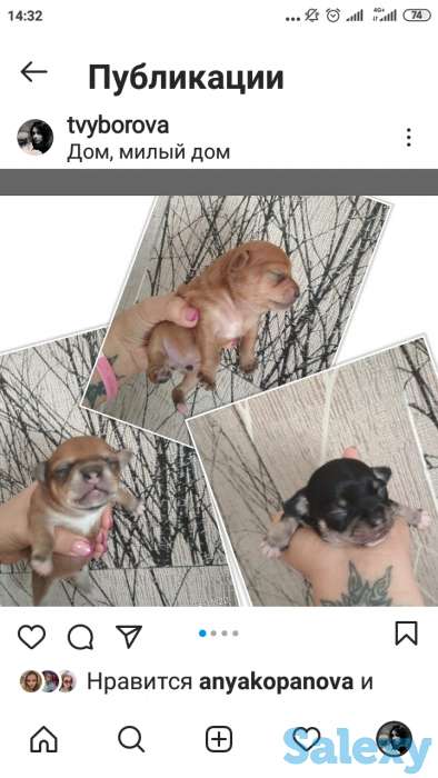 Продам Тойчиков, фотография 2