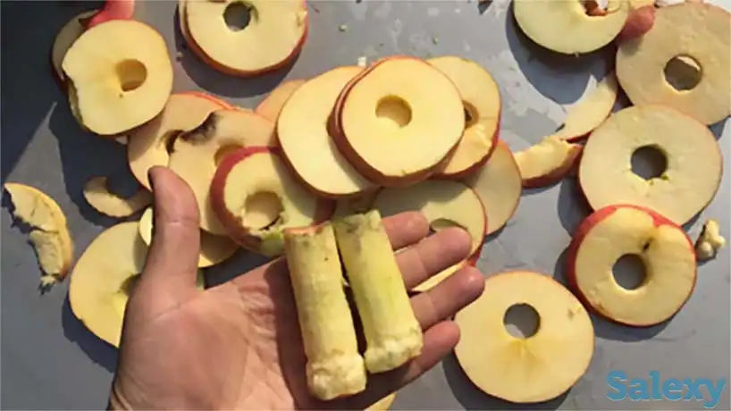 Машина для удаления сердцевины яблок, нарезка дольками и слайсами Vega Apl cor 400800 A, фотография 3