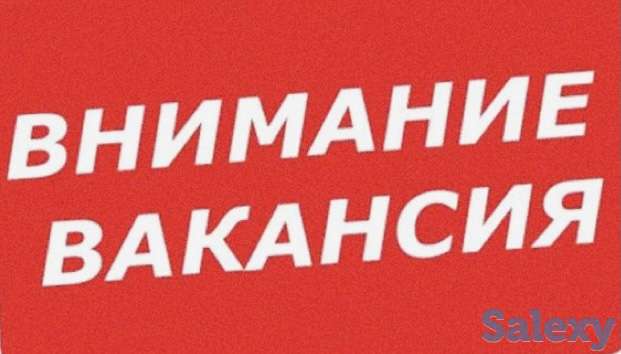 Идет набор Промо-консультантов, фотография 1