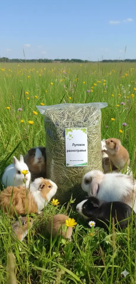 Продам сено для грызунов Луговое разнотравье, фотография 1
