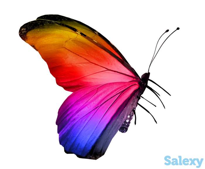 Натяжные потолки, фотография 3