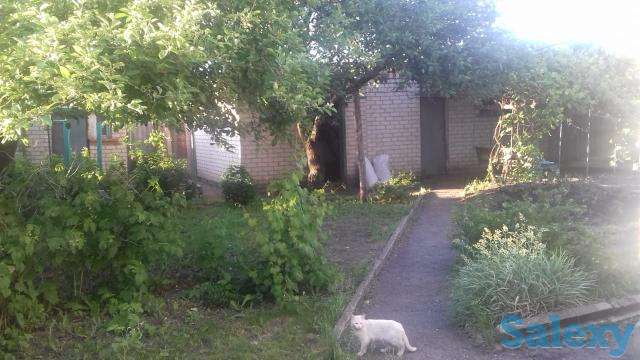 Россия, фотография 3