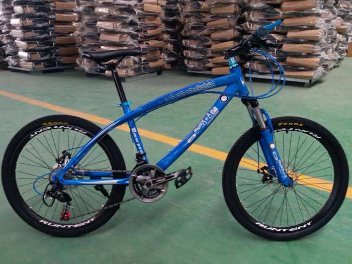  Велосипед BMW Lux на спицах, фотография 1