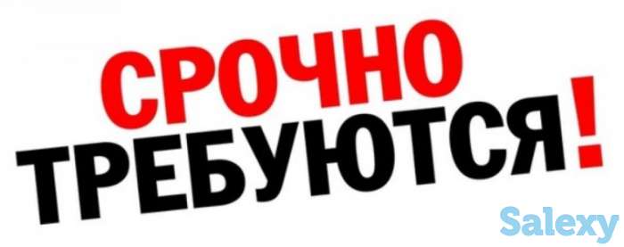 Требуются стажеры, бухгалтер, водитель на газель, фотография 1