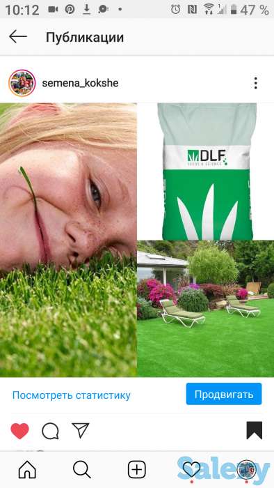 Семена Кокшетау, фотография 12