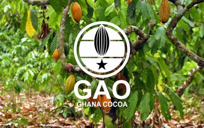 Разработка логотипа бренда, фотография 5