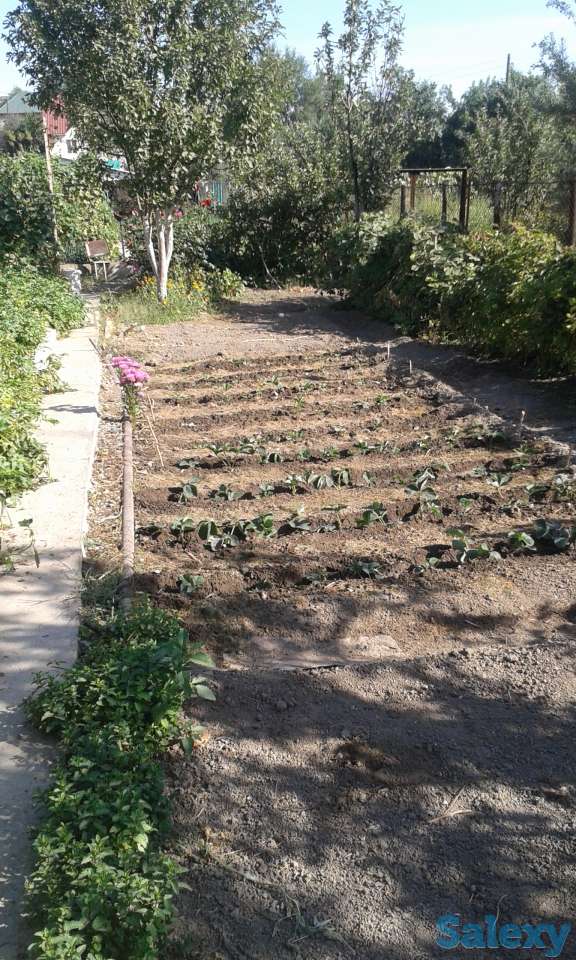 продать дачу, фотография 7