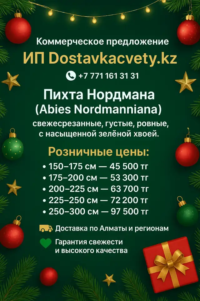 Пихта Нордмана оптом и розницу новогодние, фотография 1
