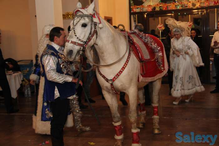 аренда коня, фотография 2