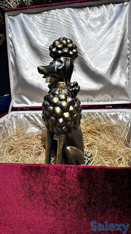 Декоративный пудель, фотография 1