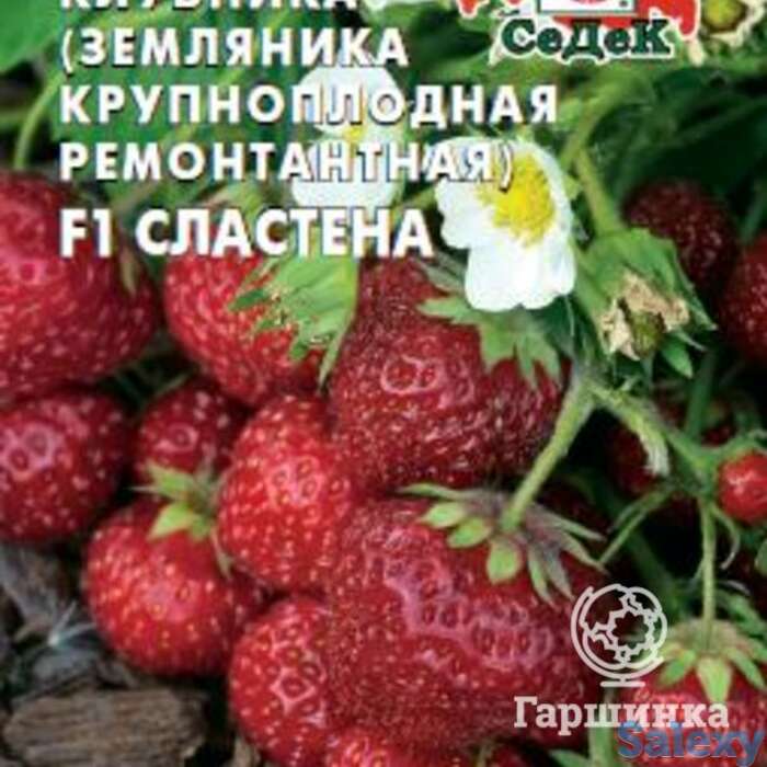 Семена Клубника Сластена F1, фотография 1