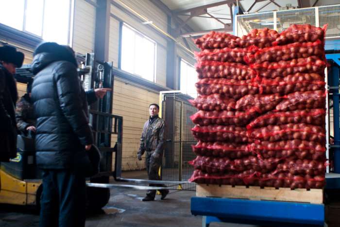 перевозки доставка , фотография 2