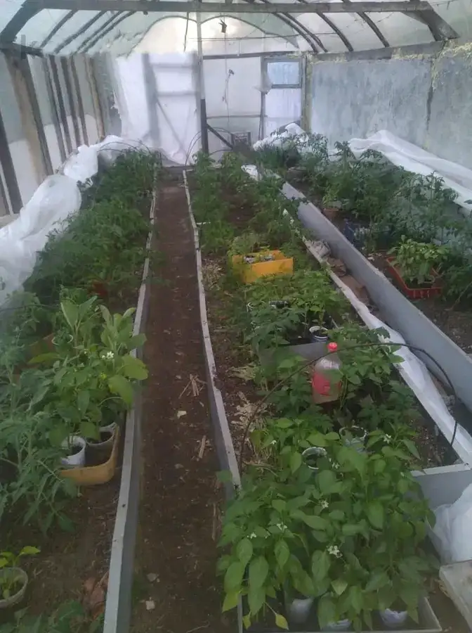 Кирпичный дом на большом участке, Усть-Каменногорск, ул. Щербакова, д. 31а, фотография 15