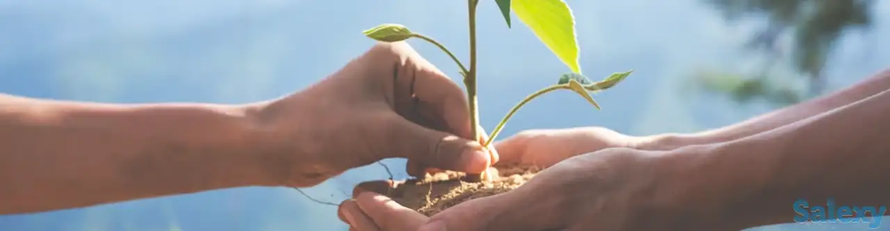 Проекты рекультивации, фотография 1