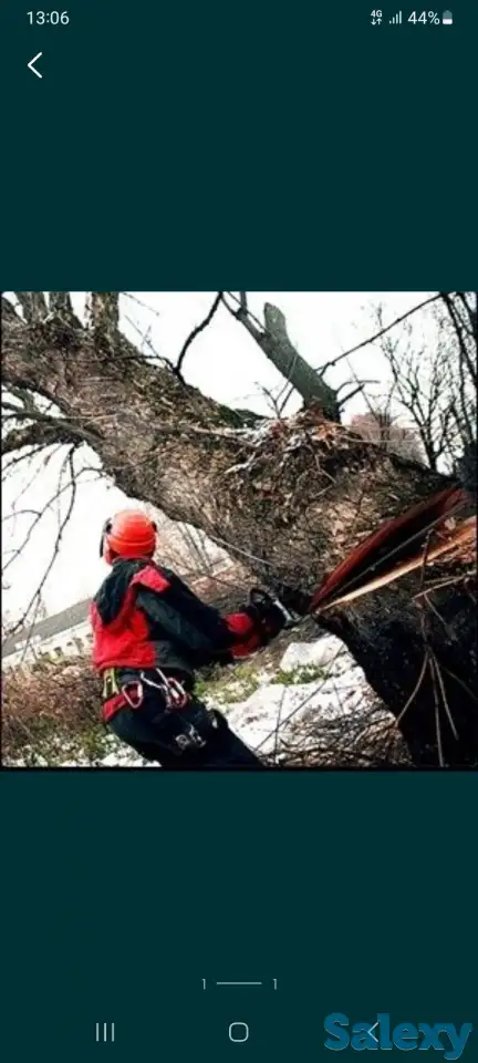 Пилим деревья недорого, фотография 1
