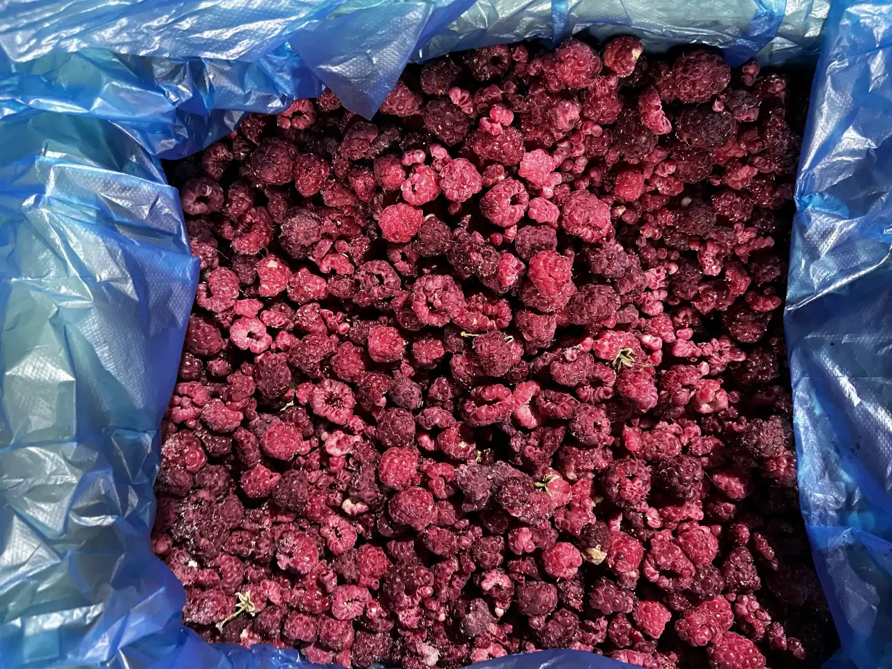 Замороженные ягоды и смеси розницуоптом, фотография 7