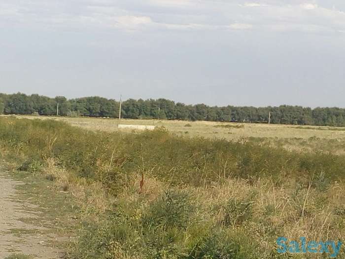 Земельные участки, делимые под Крестьянское Хозяйство, фотография 4