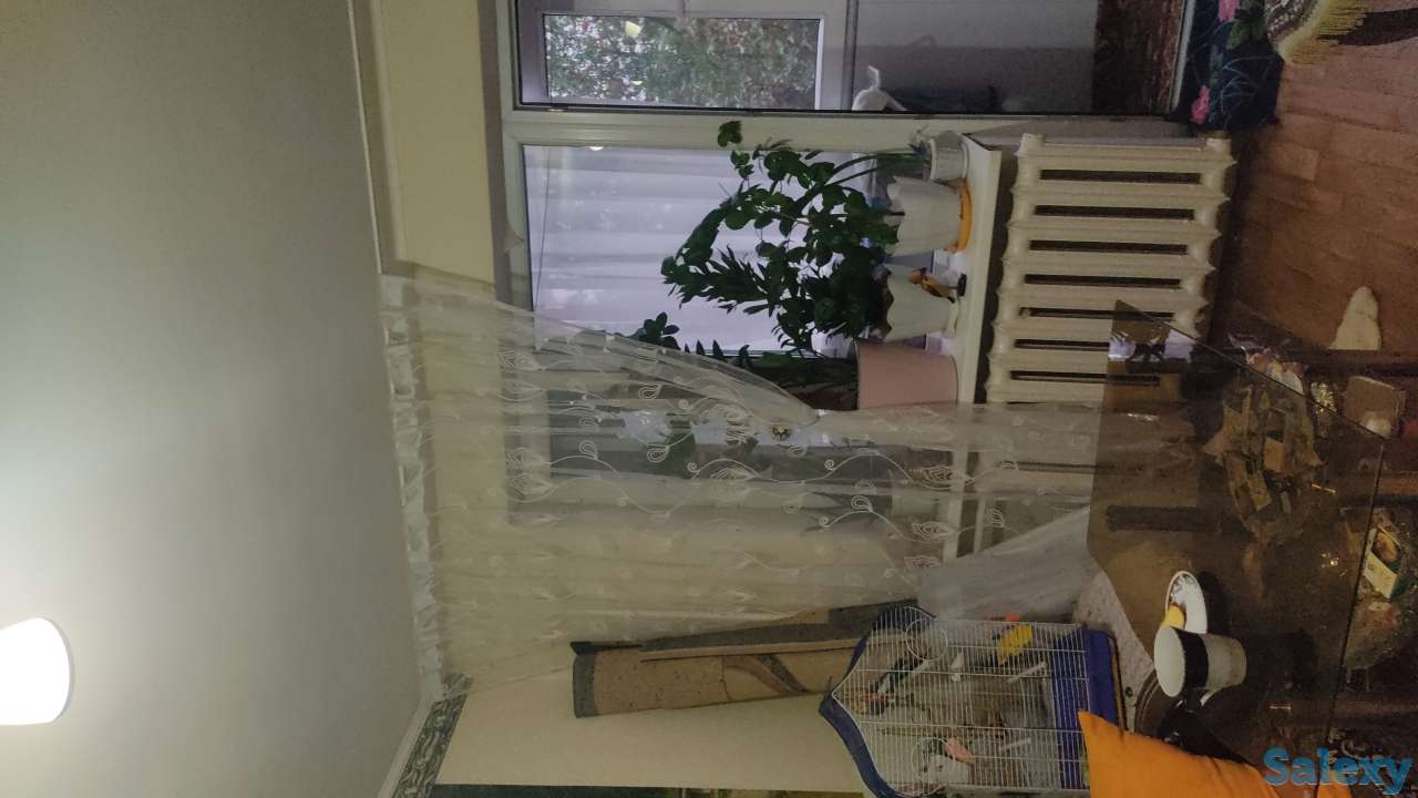 Продажа недвижимости, Кравцова 1, фотография 6