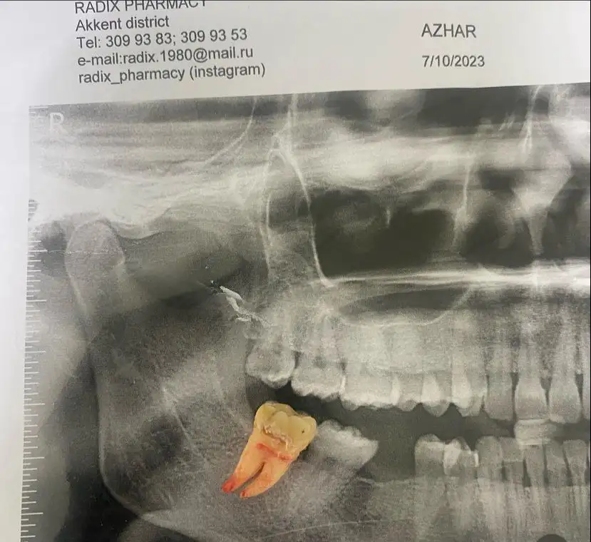 stomotolog24kz, фотография 2