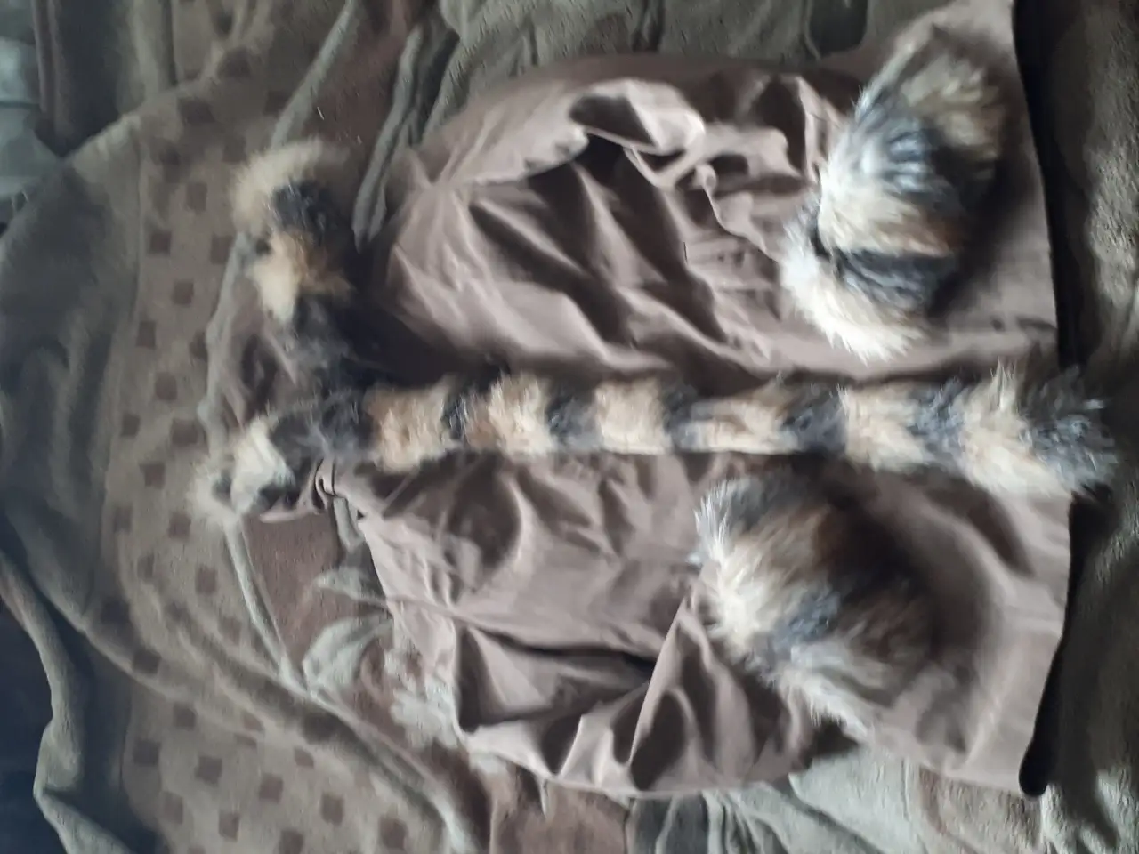 Продам куртку, фотография 1