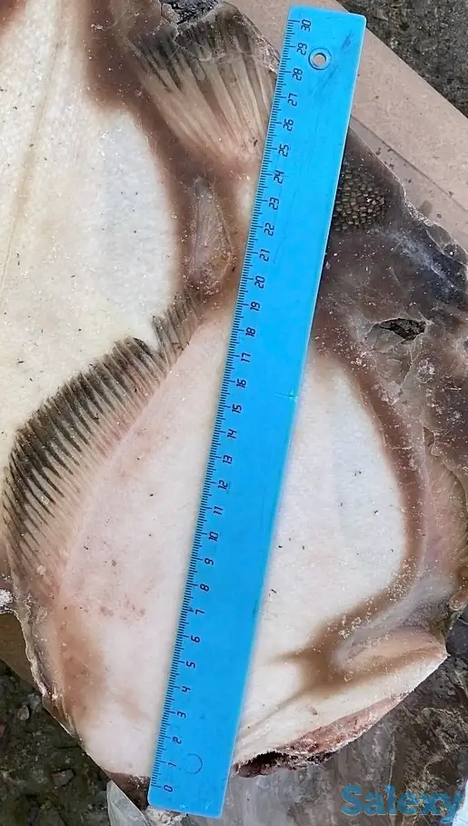Рыба св.мороженная во Владивостоке., фотография 2